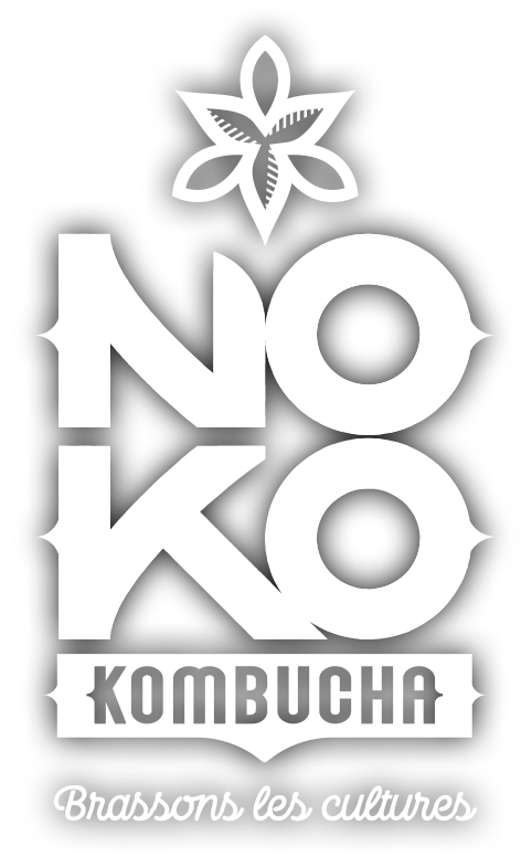 Logo NOKO